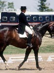 Canada's Cindy Ishoy rides Dynasty in the equestrian event at the 1988 Olympic games in Seoul. (CP PHOTO/ COA/ C. McNeil)