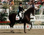 Canada's Laura Tidball-Balisky rides Levendel 48 in the equestrian event at the 1988 Olympic games in Seoul. (CP PHOTO/ COA/ C. McNeil)