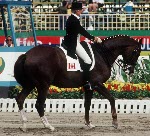 Canada's Laura Tidball-Balisky rides Levendel 48 in the equestrian event at the 1988 Olympic games in Seoul. (CP PHOTO/ COA/ C. McNeil)