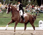 Canada's Chris Boylen rides Gaspano in an equestrian event at the 1976 Montreal Olympic games. (CP PHOTO/ COA/MB)