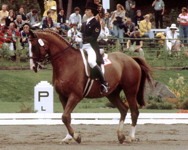 Canada's Chris Boylen rides Gaspano in an equestrian event at the 1976 Montreal Olympic games. (CP PHOTO/ COA/MB)