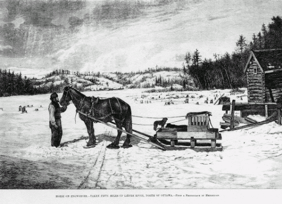 Digitized page of Canadian Illustrated News for Image No.: 72910