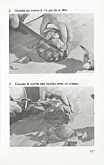 Page 177 du livre de cuisine LES TECHNIQUES CULINAIRES expliquant comment faire cuire les artichauts avec photos à l'appui