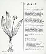 Page 72 of cookbook, A TASTE OF THE WILD, with a text on wild leeks, a half-page drawing of a wild leek and a recipe for Cock-a-leekie Soup
