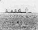 Champ de blé en gerbes près de six silos, Champion (Alberta), v. 1930